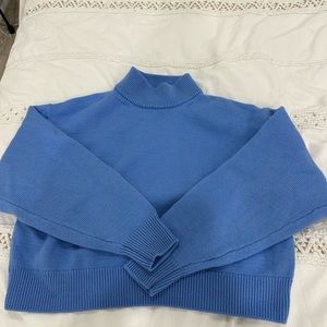 Wilfred Blue knit Sweater